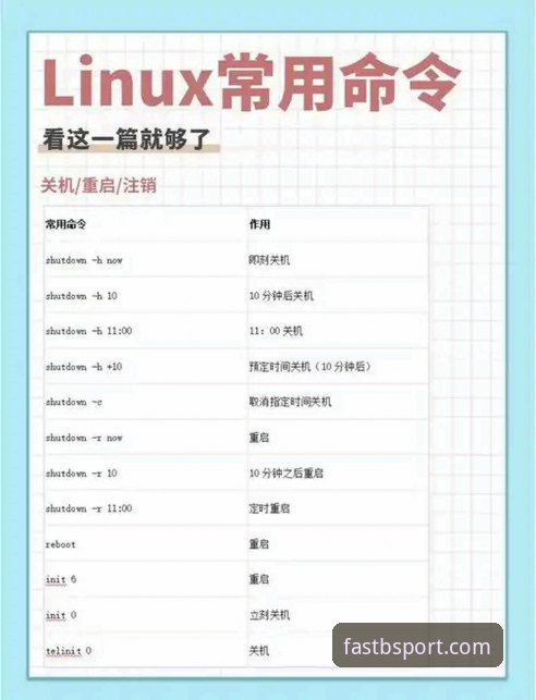 BSPORT体育平台注册完整指南：从入门到精通的操作手册
